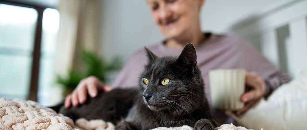 badante e animali lecco