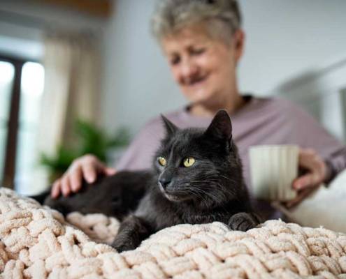 badante e animali lecco